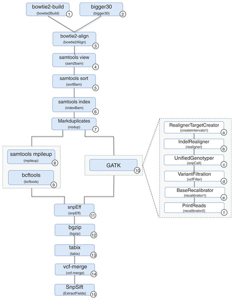 RASopathy analysis workflow modeling.