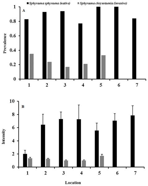 (A) Mean total parasite prevalence both fish and (B) mean intensity of total parasite loads in native S. sphyraena and invasive S. chrysotaenia at the seven sampling locations.