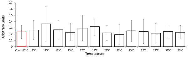 HSP70 levels in Lake Shira G. lacustris amphipods during exposure to gradual temperature increase (1 °C/h).