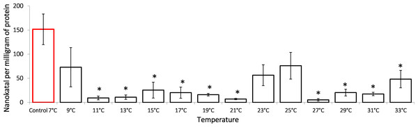 Lactate dehydrogenase activity (in nKat/mg of protein) in Lake Shira G. lacustris amphipods during exposure to gradual temperature increase (1 °C/h).