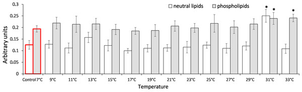 Levels of triene conjugates in neutral lipids (heptane fraction) and phospholipids (isopropanol fraction) in Lake Shira G. lacustris amphipods during exposure to gradual temperature increase (1 °C/h)
