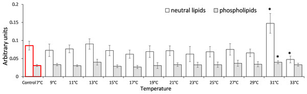 Levels of Schiff’s bases in neutral lipids (heptane fraction) and phospholipids (isopropanol fraction) in Lake Shira G. lacustris amphipods during exposure to gradual temperature increase (1 °C/h)