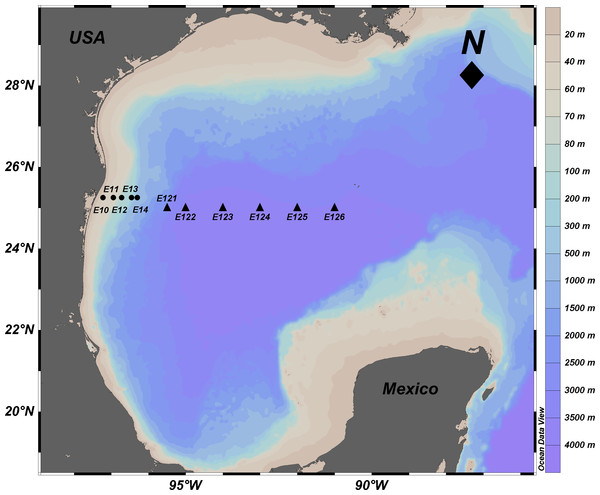 Location of sampling sites in the Mexican Region of the Northwestern Gulf of Mexico.