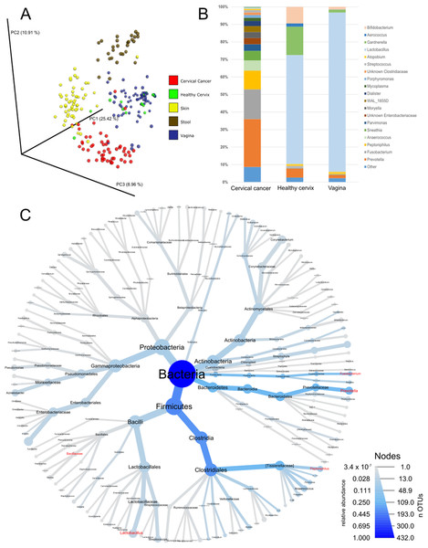 Community composition in cervical cancer and healthy adjacent sites.