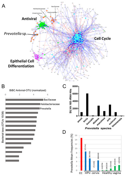 Transkingdom microbe-gene regulatory network.