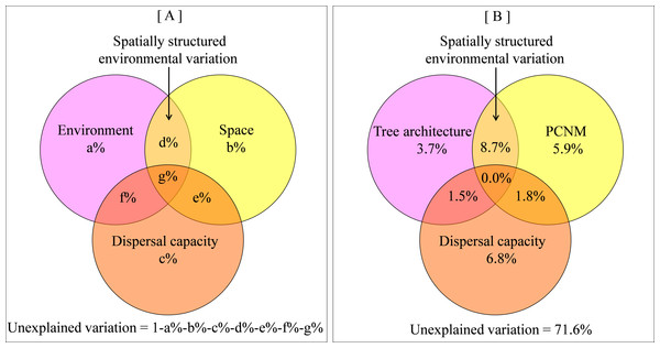 Venn diagram showing relative influence of tree architecture, spatial distance and dispersal capacity on beta diversity.