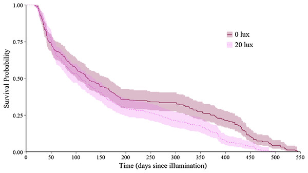 Effect of light treatment on survival over the entire lifespan.