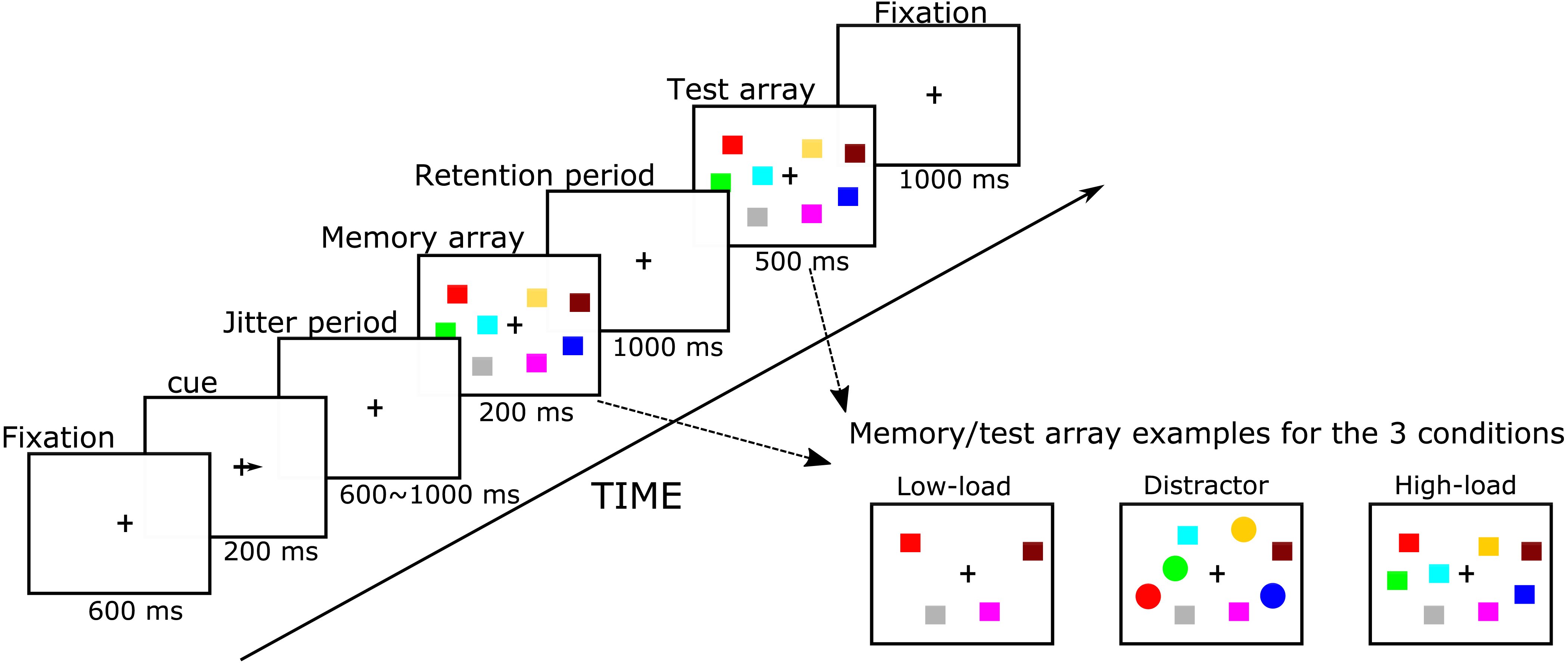 Neural processing of working memory in adults with ADHD in a ...