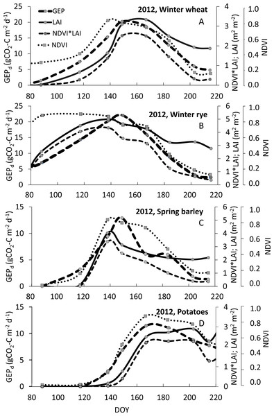 Example of seasonal courses of GEPd, NDVI, LAI and NDVI*LAI for winter wheat (A), winter rye (B), spring barley (C) and potato (D) in 2012.