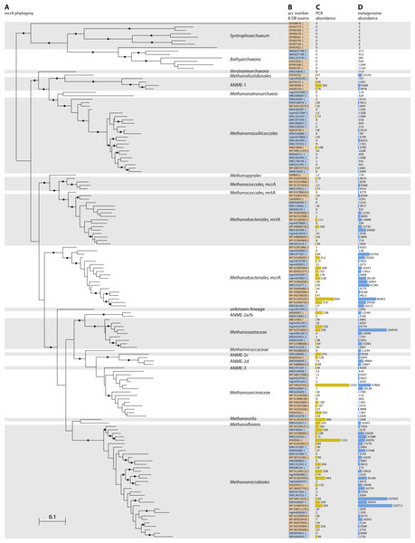 Phylogeny and environmental detection of recovered mcrA sequences.