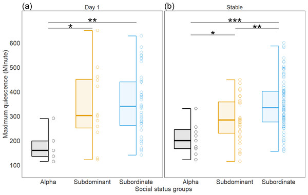 The effect of social status on maximum length of inactivity (quiescence) in eating and drinking by social status group (A) on Day 1 and (B) in stabilized hierarchies.