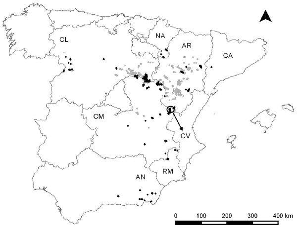 Dupont’s lark distribution in Spain according to Suárez, 2010 (light grey) and Dupont’s lark populations included in this study (black).