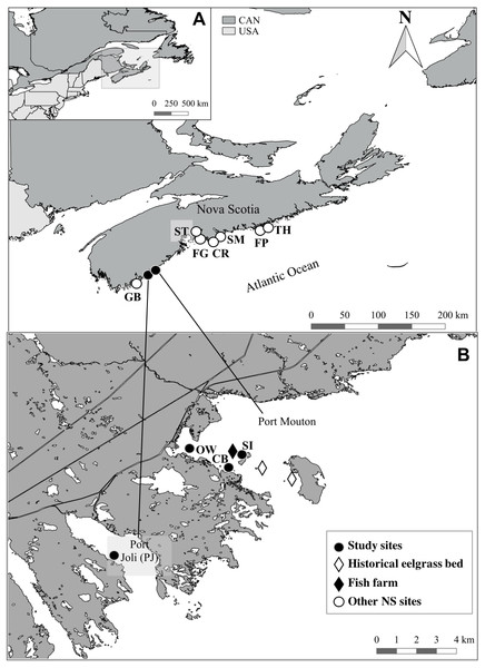 Location of the study sites and other Nova Scotia (NS) sites for comparison.