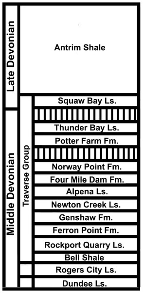 Stratigraphy of the Devonian deposits of the northern part of the Lower Peninsula of Michigan.