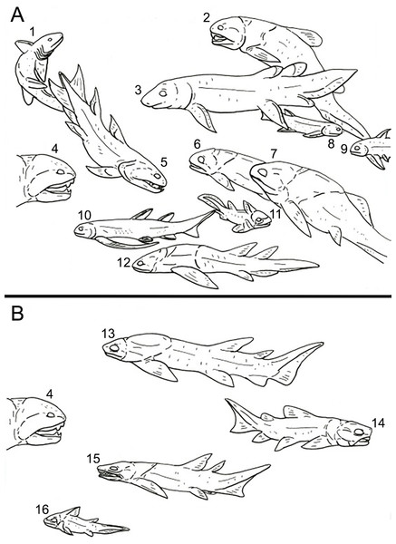 A representation of the Devonian vertebrate fauna known from Michigan.