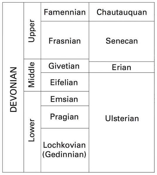 Chart showing the correlation between international and North American Devonian stage names.