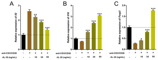 The expression of Il2, Il10, and Foxp3 in splenic T cells following rIL-35 addition for 24 h in vitro.