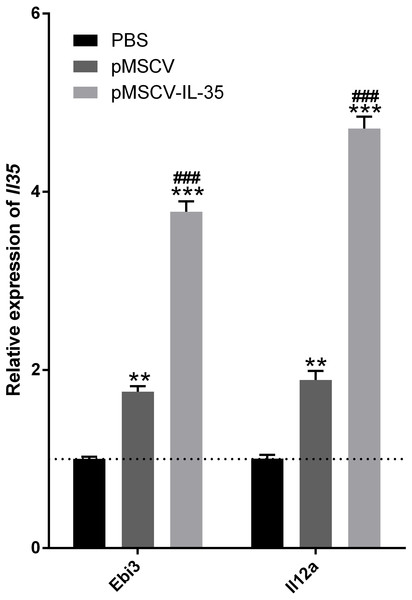 The transcriptional levels of Ebi3 and Il12a 72 h post plasmid pMSCV-IL-35-GFP injection.