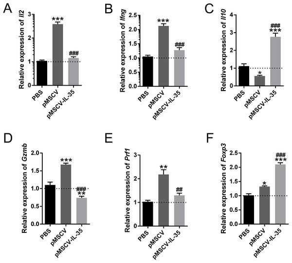 The mRNA level of Il2, Ifng, Il10, Gzmb, Prf1, and Foxp3 in vivo.