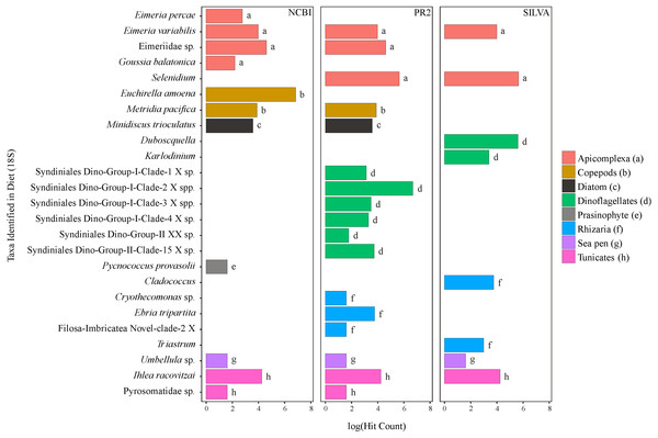 Taxa identified from the diet of M. challengeri using the PR2, SILVA and NCBI databases for the 18S sequences.