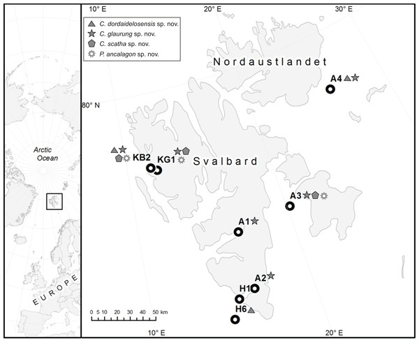 Map showing the sampling stations around Svalbard.