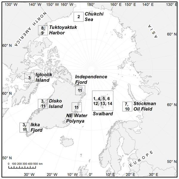 Map showing the distribution of Pycnophyidae in Arctic region.