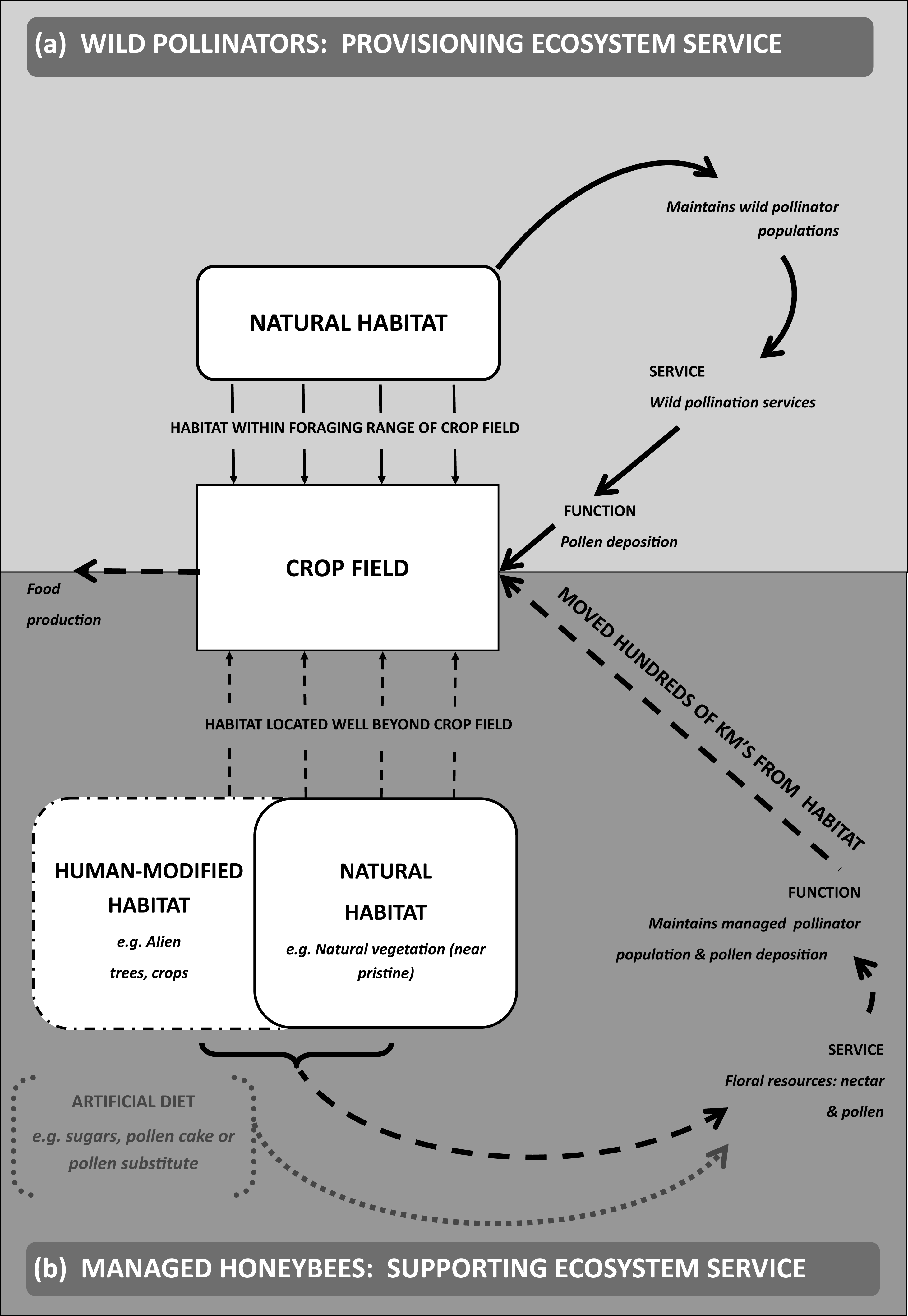 assessing-the-role-of-dispersed-floral-resources-for-managed-bees-in