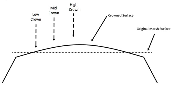 Diagram of a crowned farm field and approximate location of sampling points (Adapted from Van Ardenne, 2016).