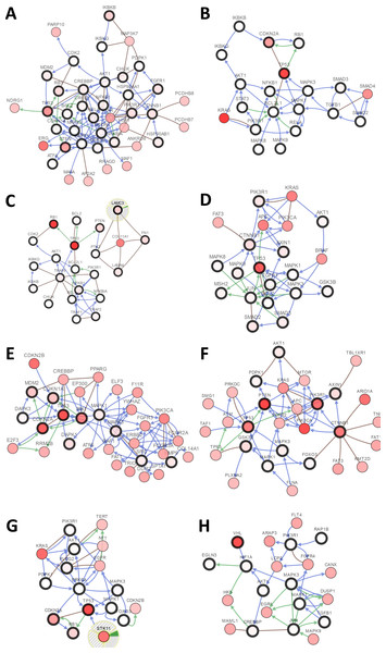 Visual display of the gene network connected to genes in cancer.
