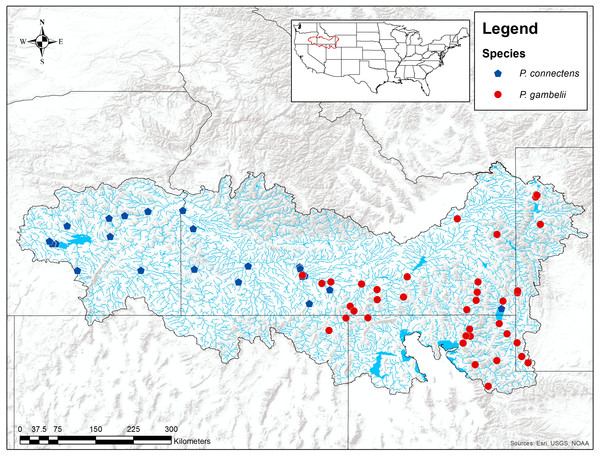 Distribution, habitat associations, and conservation status updates for ...