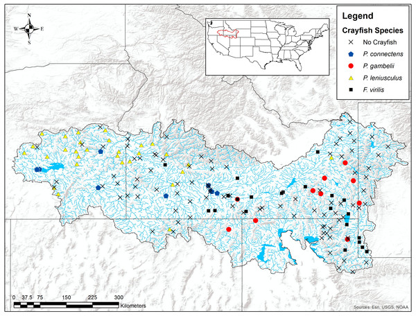 Results of field sampling for crayfish in the western US in the summers of 2016 and 2017.