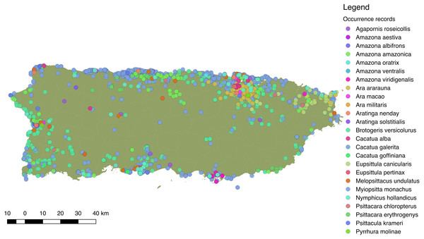 Distribution of 25 species of Psittaciformes in Puerto Rico, depicted by the different colors.