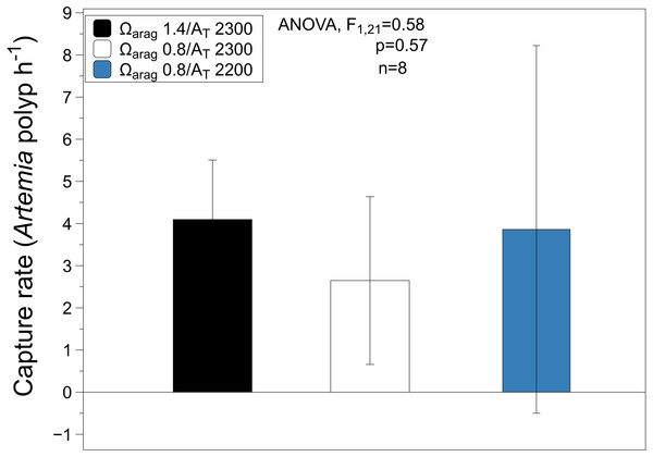 Average capture rates of Artemia standardize per polyp per hour.
