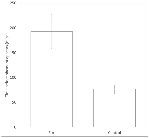 Time delay before a pheasant appears at a feeder after a fox has been present or a paired, time-matched control period 24 hrs before the fox was sighted. Error bars = ±1SE