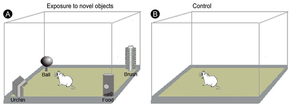 Experimental design.