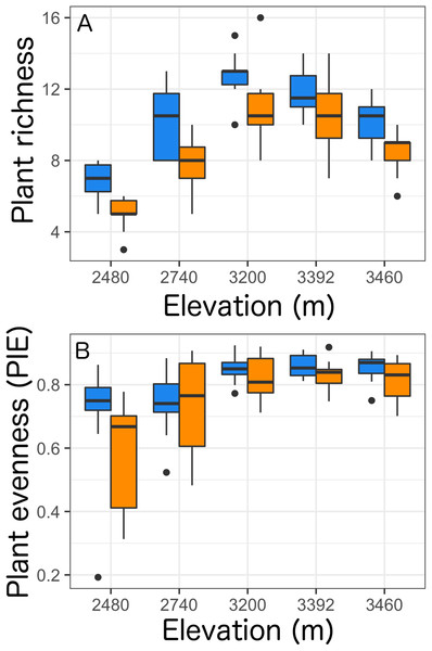 Plant richness (A) and plant evenness (B, probability of interspecific encounter) within a 0.5 × 0.5 m quadrat across five elevational sites with Castilleja present (blue) or Castilleja absent (orange).