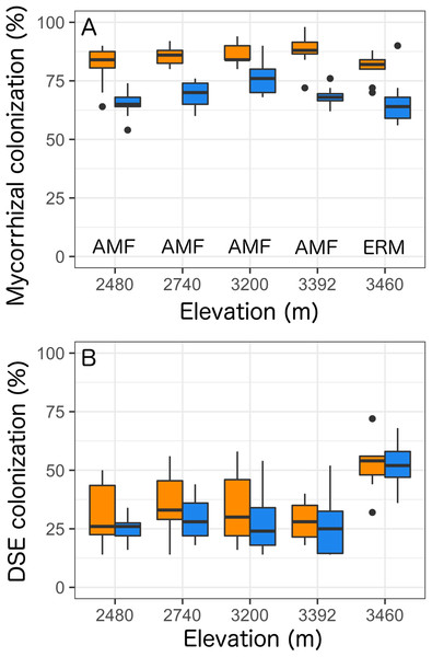 Colonization rates of (A) mycorrhizal fungi and (B) dark-septate endophytes (DSE) across all five elevational sites with Castilleja present (blue) or Castilleja absent (orange).