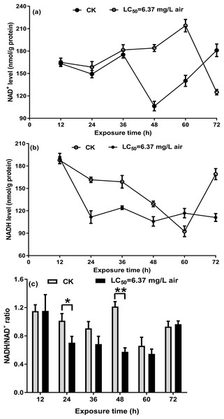 NAD+ (A) and NADH (B) in the control and oil-fumigated T. confusum extracts were quantified.