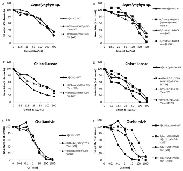 Leptolyngbya sp. and Chlorellaceae extracts inhibit influenza A and B OST-sensitive and -resistant viruses.