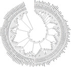 Phylogenetic analysis of the cytochrome P450 (CYP450) nucleotide ...