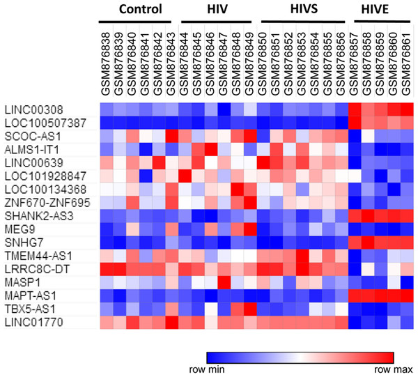 Heat map of 17 differentially expressed lncRNAs among Group A, Group B, Group C, Group D in white matter.