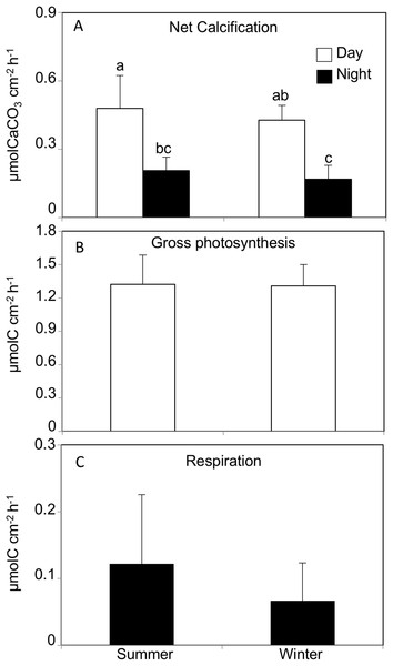 (A) Net calcification, (B) net photosynthesis and (C) respiration rates by Acropora tennis in summer and winter during day and night time.
