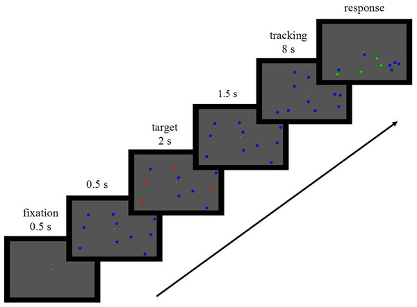 A schematic diagram of the visual stimulus in the multiple object tracking task.