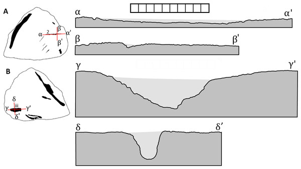 Interpretative drawings of cross-sections of the traces 2 and iii from TMP 2014.012.0036 based on latex peels showing side A (A) and side B (B).