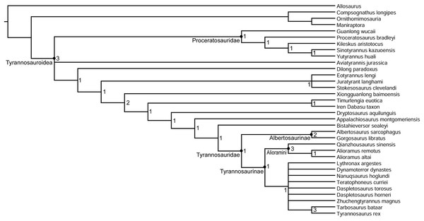 Phylogenetic relationships of Dynamoterror dynastes.
