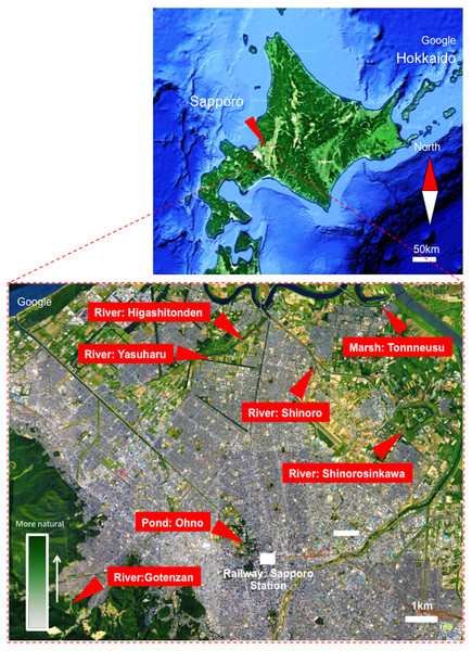 Map showing sampling locations around Sapporo City, Hokkaido, Japan.