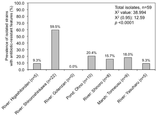 Prevalence of isolated strains from MacConkey agar plates with antibiotics at each of the sample location (%).