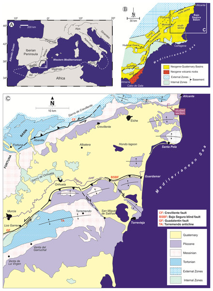 Geological context of the Bajo Segura basin.