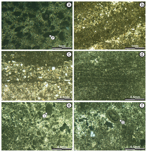 Thin section photographs of stromatolitic Subfacies 1, 2, and 3.