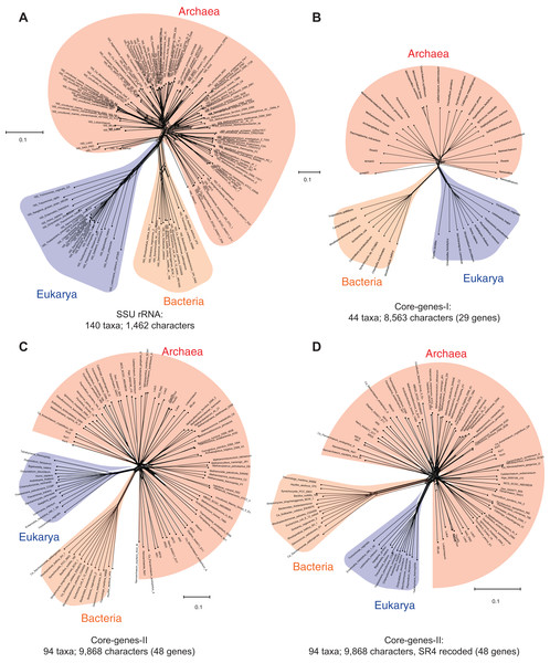 Data-display networks (DDN) depicting the character conflicts in datasets that employ different character types: nucleotides or amino acids, to resolve the tree of life.